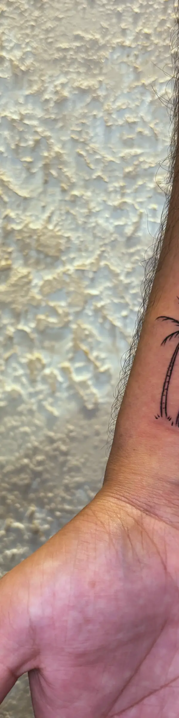 fine line palm beach tree tattoo